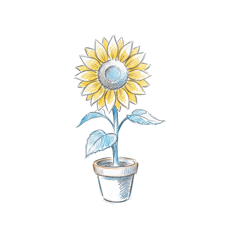 Un tournesol en pot, dessiné au crayon de couleur